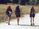 Il gruppo in cammino tra Campagnano di Roma e La Storta (RM); di spalle, e da sinistra a destra, si vedono: David, Emanuela ed Eleonora