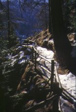 Il sentiero di accesso
alla ferrata
(10283 bytes)