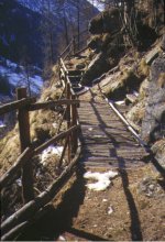 La passerella in legno
lungo il sentiero di
accesso alla ferrata
(13060 bytes)