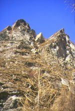 La parte alta delle pareti
su cui transita il ponte
-tibetano- della ferrata
(13019 bytes)