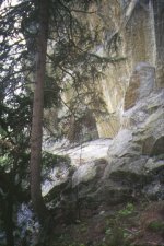 La palestra di
roccia nel bosco
(12175 bytes)