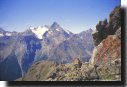 Ultimo sguardo sul versante
del Gran Paradiso e sulla
Grivola, prima della discesa
dalla Punta Valletta
(36606 bytes)