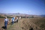 Sui campi del Podere Cerretale
(4342 bytes)