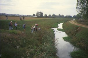 Lungo l’argine del «Canale del Terzo»
all’interno del Padùle di Fucecchio
(12494 bytes)