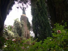 Ruderi e alberi
nei giardini
dell’Oasi di Ninfa
(17898 bytes)