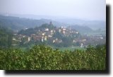 Panorama del paese di
Castelnuovo Don Bosco
(35277 bytes)