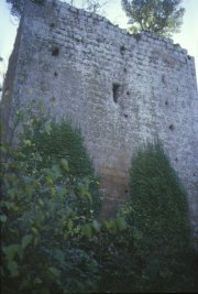 Torre tra i ruderi della
abbazia fortificata di S.Maria
(13171 bytes)