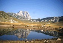 Gran Sasso - Le vette del Corno Grande, da sinistra:
V.Occidentale, Torrione Cambi, V.Centrale e una parte
del Paretone est, viste da Campo Imperatore
(9972 bytes)