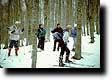 Al colle di Lepre sul versante Nord di M.Pelato (50097 bytes)