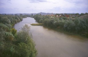 L’Arno dalla località di San Pierino
con San Miniato Alto sullo sfondo 
(10820 bytes)