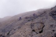 Prime cordate sulle
Vie del Vecchiaccio e 
del Cavallo Pazzo sulla
parete sud-ovest della
2 Spalla del Corno Piccolo
(31381 bytes - foto Tommy)