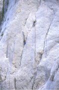 Rocciatori sulla 1 Spalla,
tra cui AlloFull, Buzz e Uliano
nel grande diedro in alto.
(42702 bytes - foto Enea)